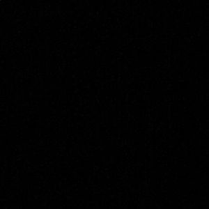 Meet your Posher, Chantelle